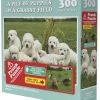 VR Distribution Doing Things Prank Puzzle: Puppies In A Field 300 Piece Jigsaw Puzzle Isolation Boredom Busters - Puzzles And Games