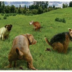 VR Distribution Doing Things Prank Puzzle: Puppies In A Field 300 Piece Jigsaw Puzzle Isolation Boredom Busters - Puzzles And Games