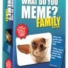 VR Distribution Isolation Boredom Busters - Puzzles And Games What Do You Meme? Family Edition