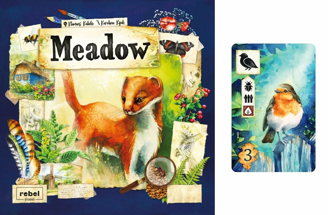 VR Distribution Meadow With Robin Promo Card Isolation Boredom Busters - Puzzles And Games